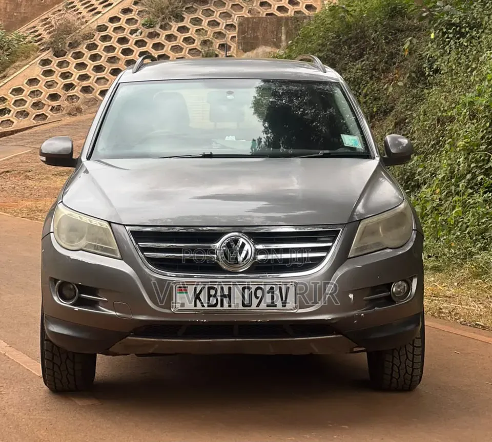 Volkswagen Tiguan 2009 Gold