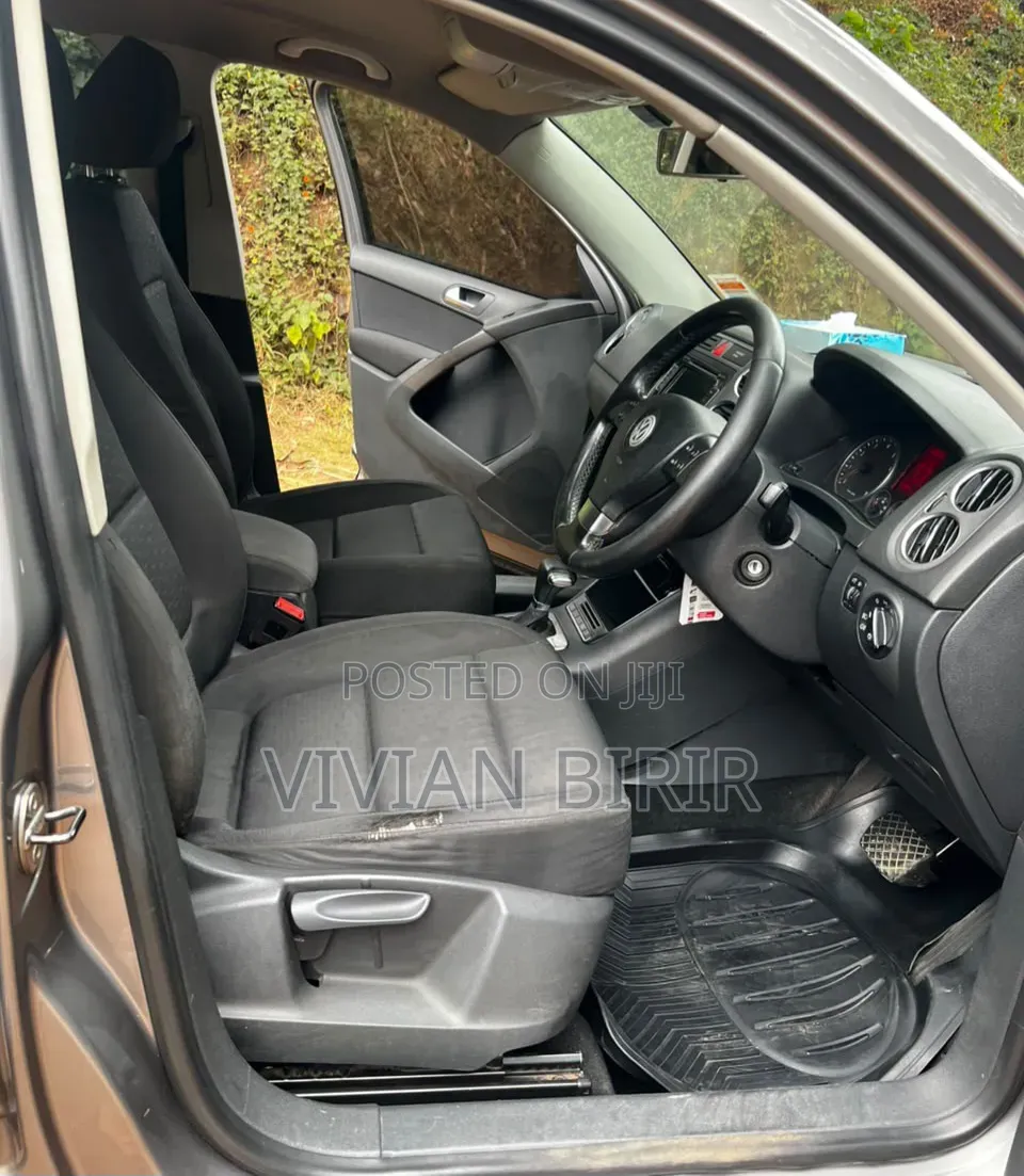 Volkswagen Tiguan 2009 Gold