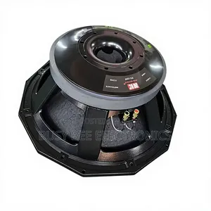 NR PD1890 High-Power 18" Subwoofer 3000W Ferrite Magnet