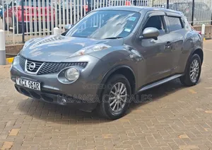Nissan Juke 2012 Gray