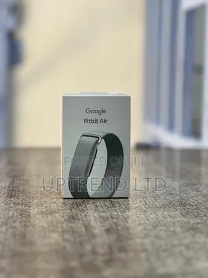 Google Fitbit Air
