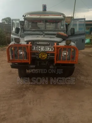 Land Rover Discovery 1989 Blue