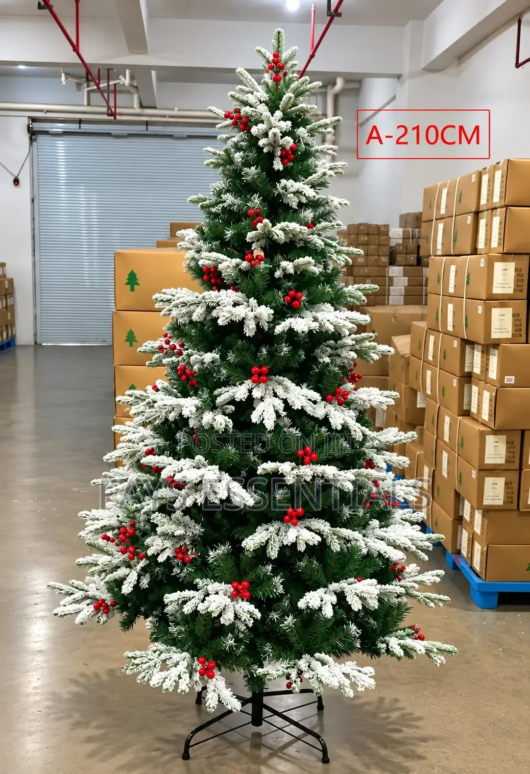 Christmas Tree