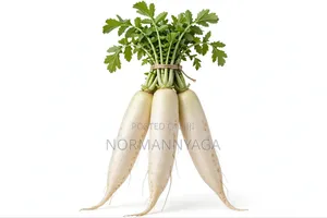 Radish Mino