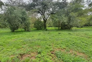 Prime Land MIOTONI Karen 1 Acre for Sale