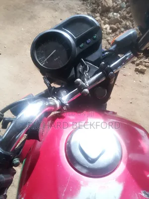 Sonlink SL125-15 2021 Red