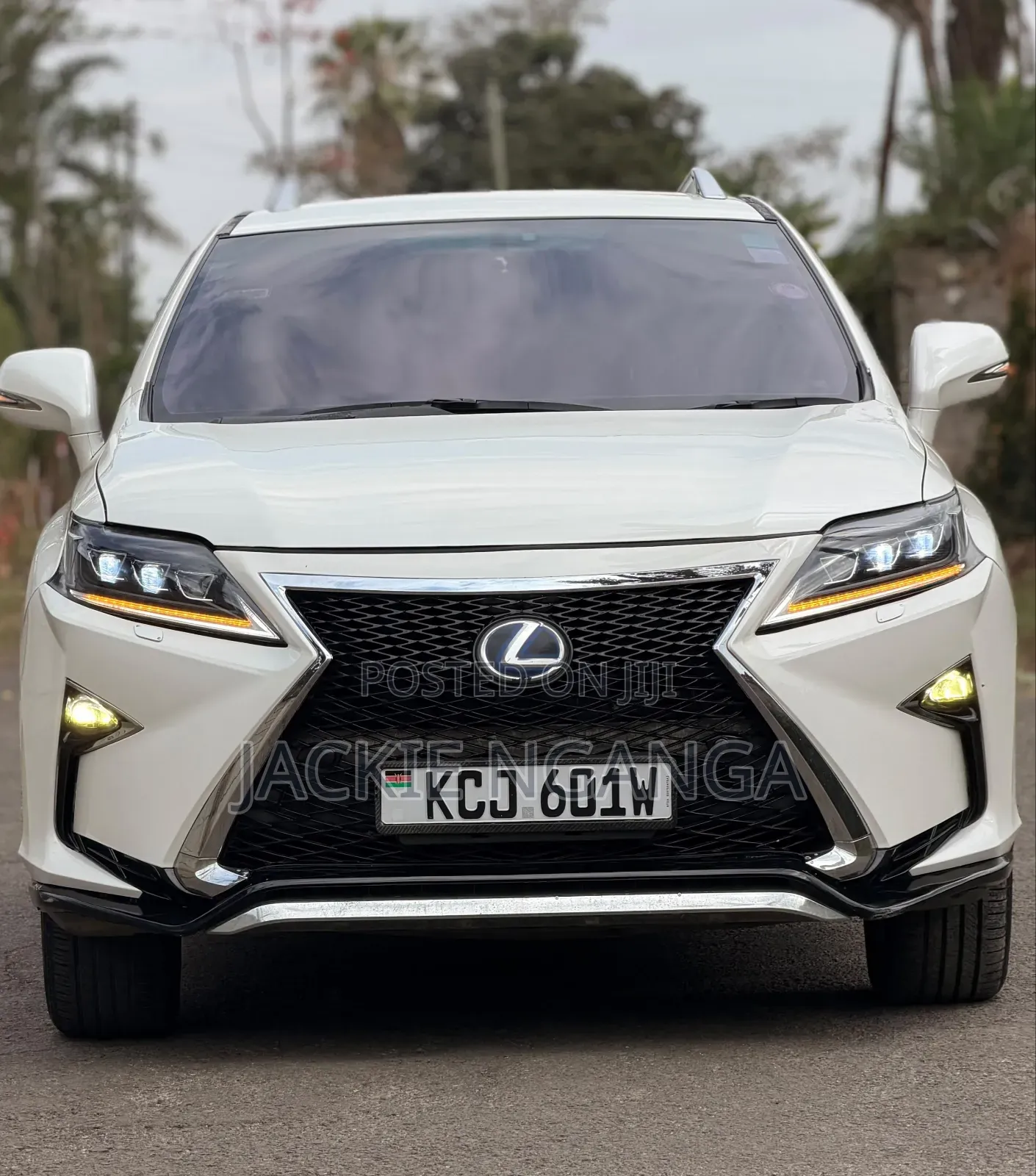 Lexus RX 2010 White