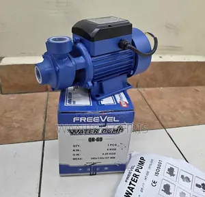 Electric 0.5HP Surface Water Pump/FreeVel Booster Water Pump 0.5Hp
