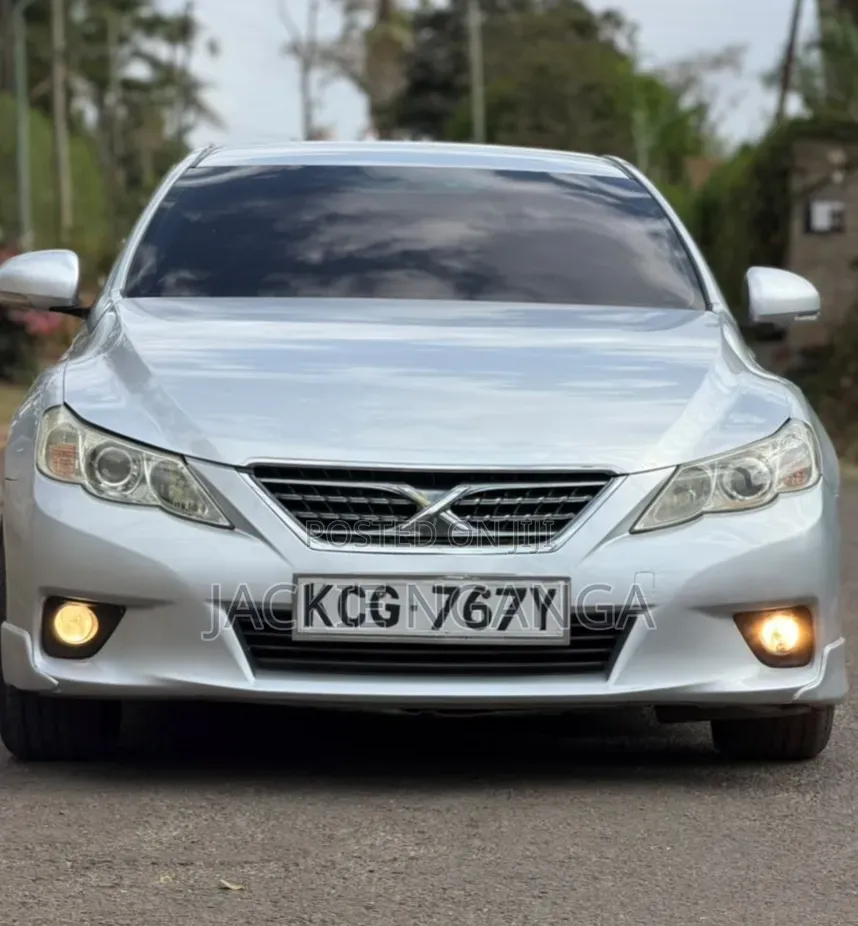 Toyota Mark X 2010 Silver