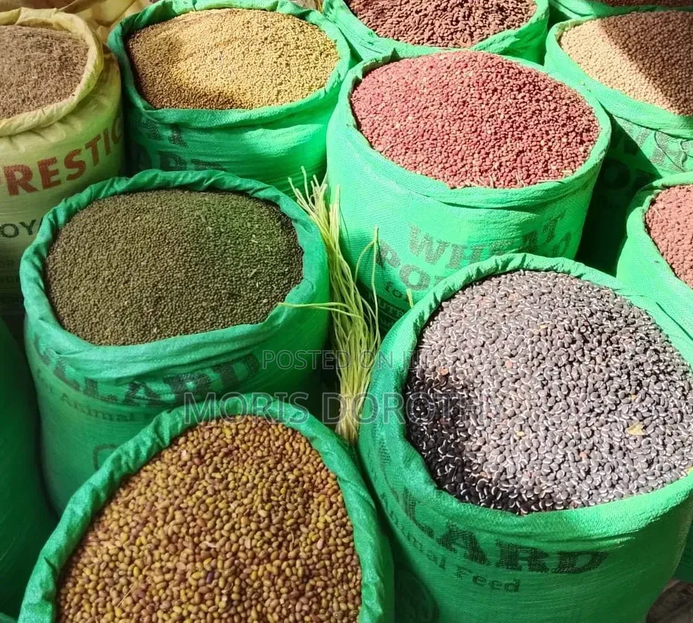 Sorted Clean Cereals , Ready for Cooking/Use Wholesale and Retail.