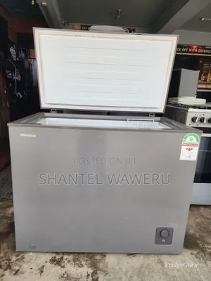 255ltra Hisence Deep Freezer