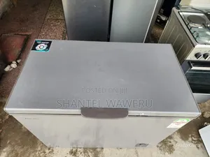 255ltra Hisence Deep Freezer
