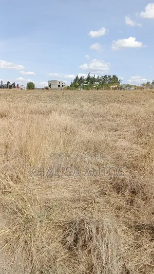 50×100 Plots