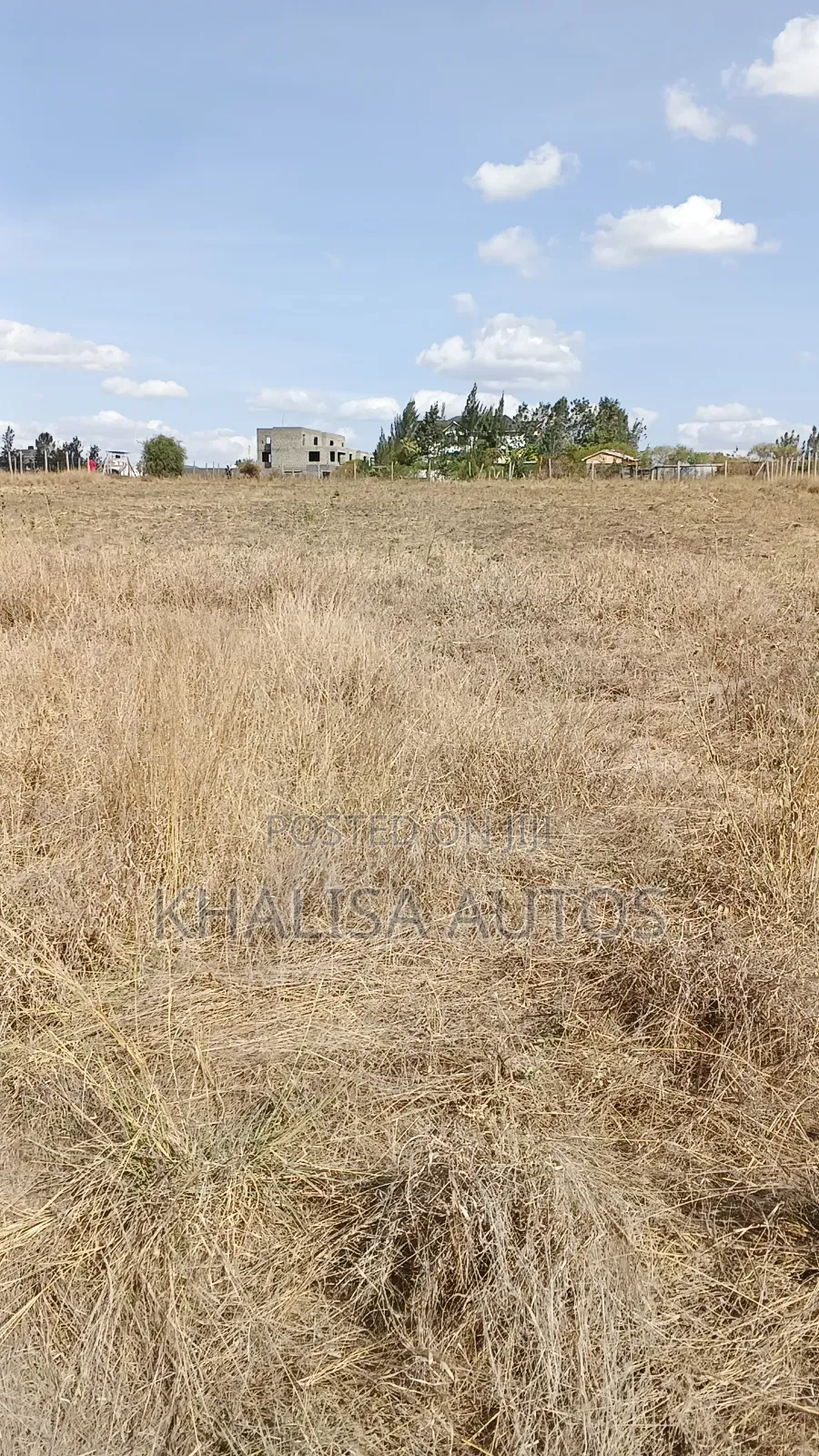 50×100 Plots