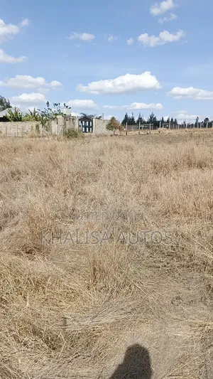 50×100 Plots