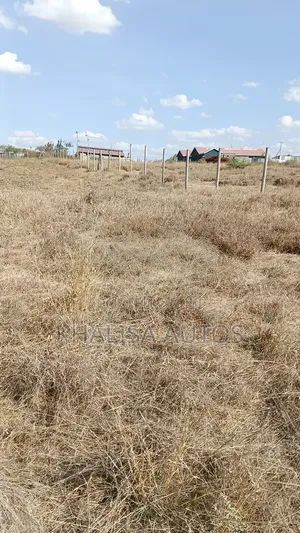 50×100 Plots