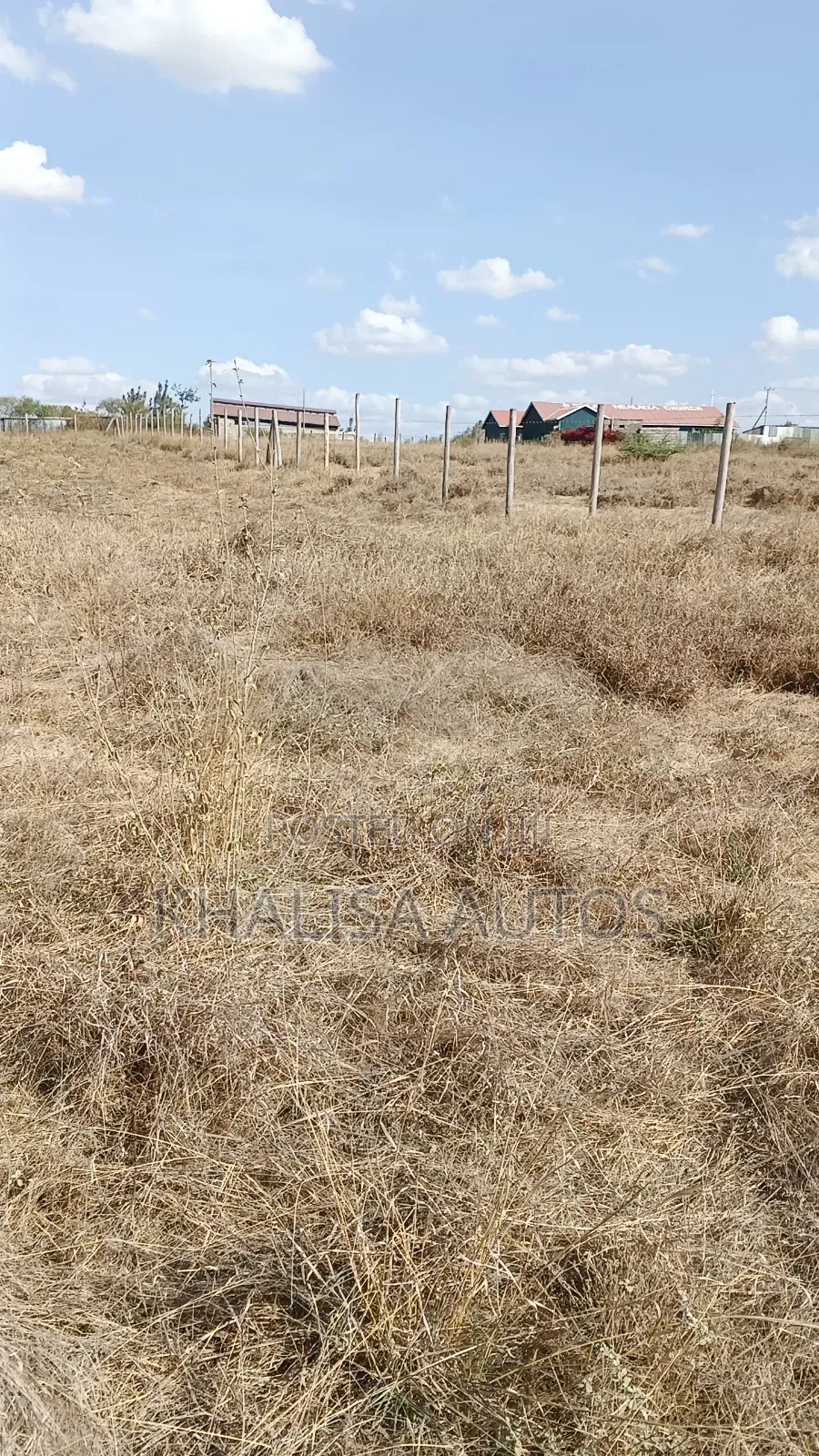 50×100 Plots