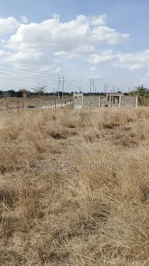 50×100 Plots