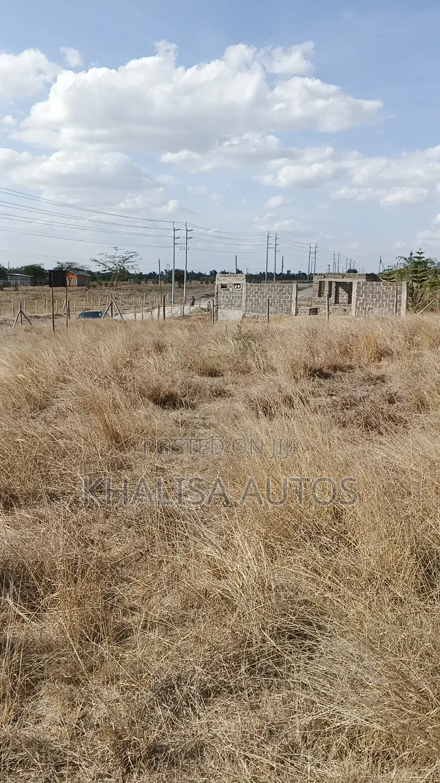 50×100 Plots