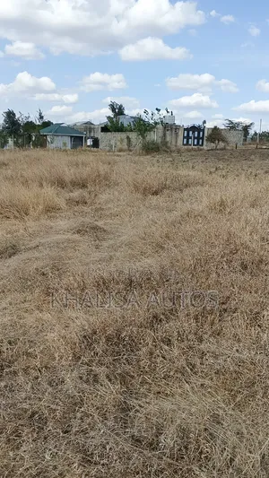50×100 Plots