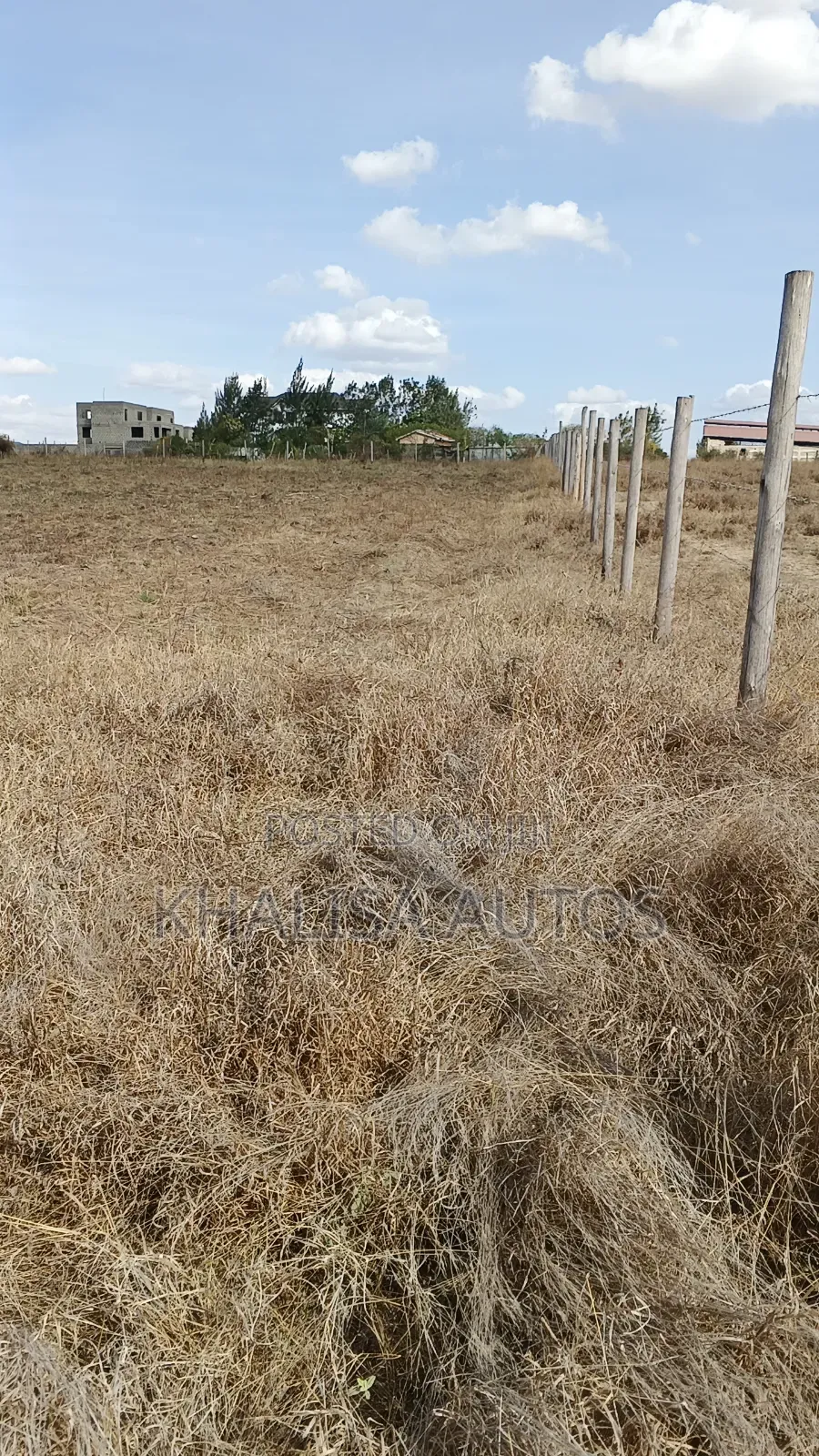 50×100 Plots