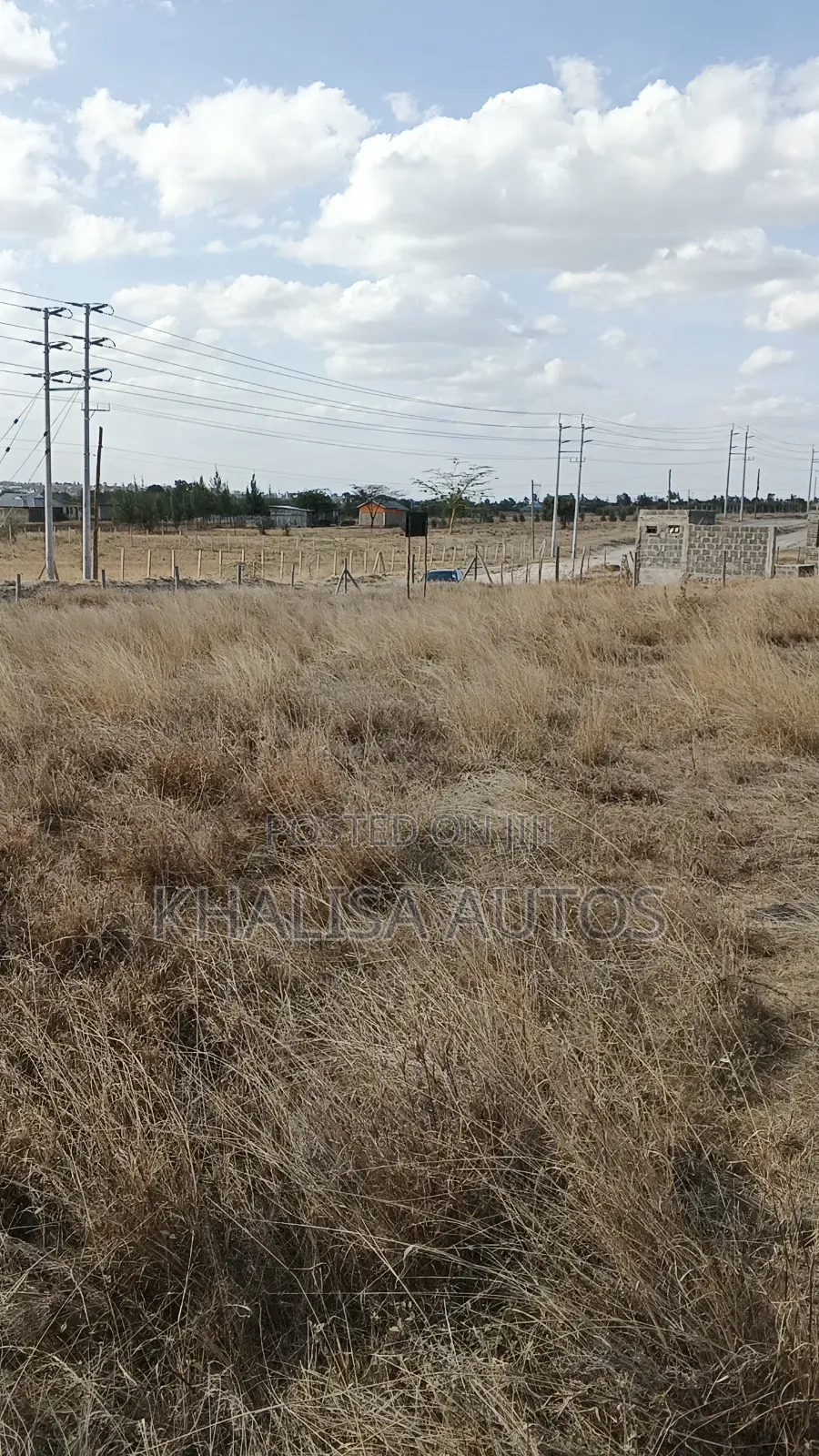 50×100 Plots