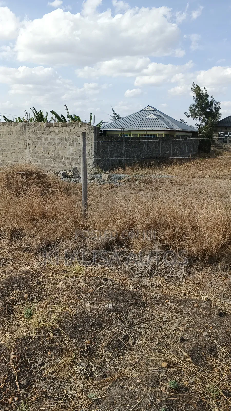 50×100 Plots