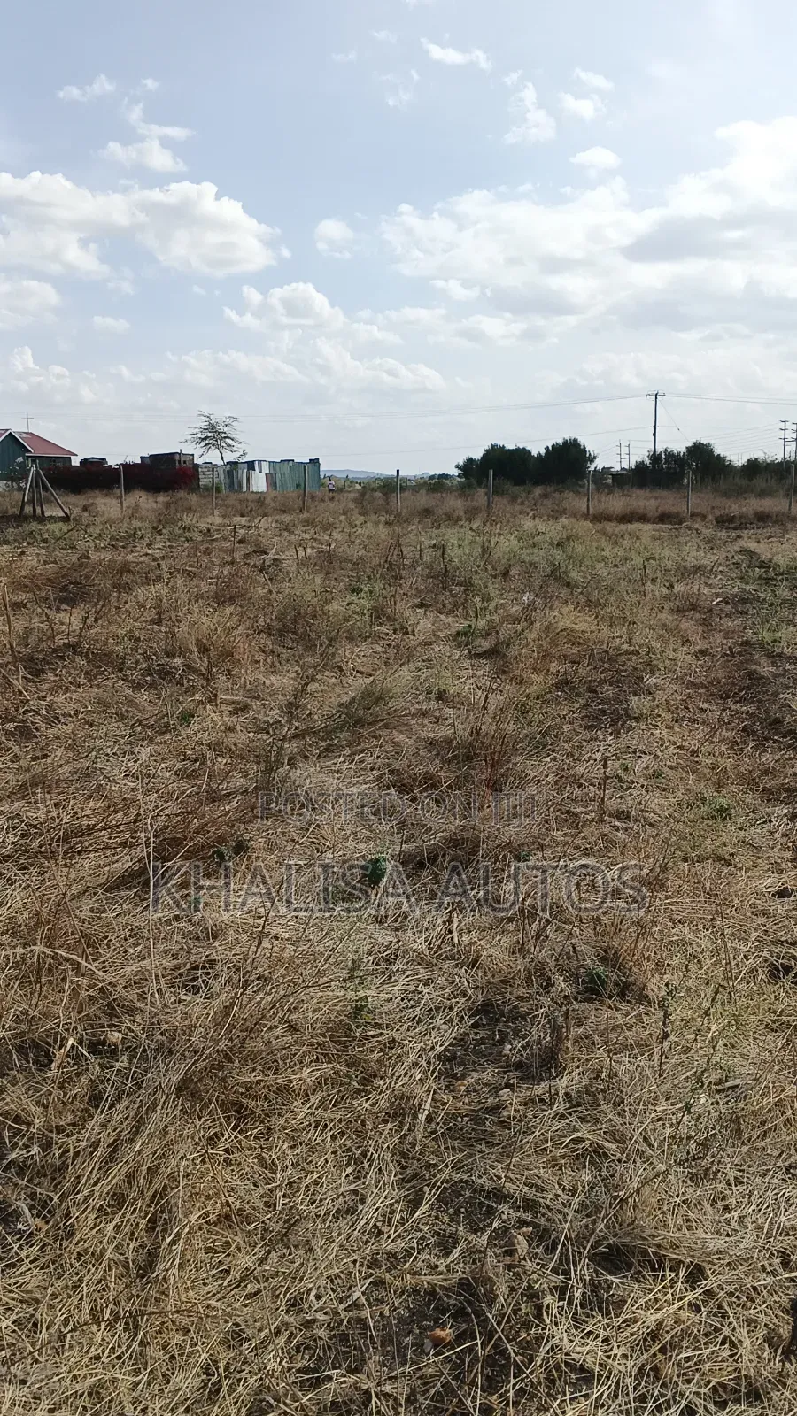 50×100 Plots