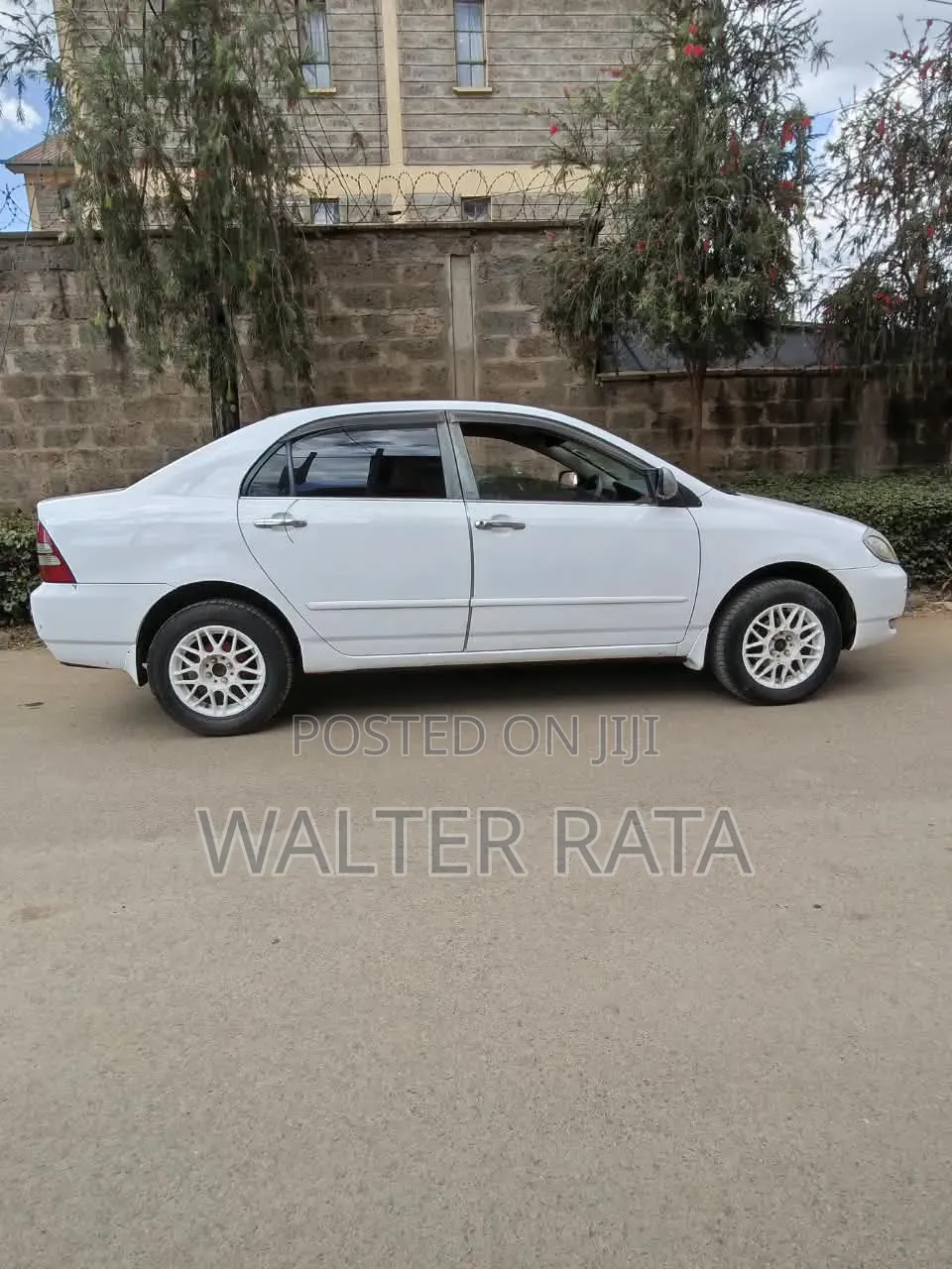 Toyota Corolla 2004 White