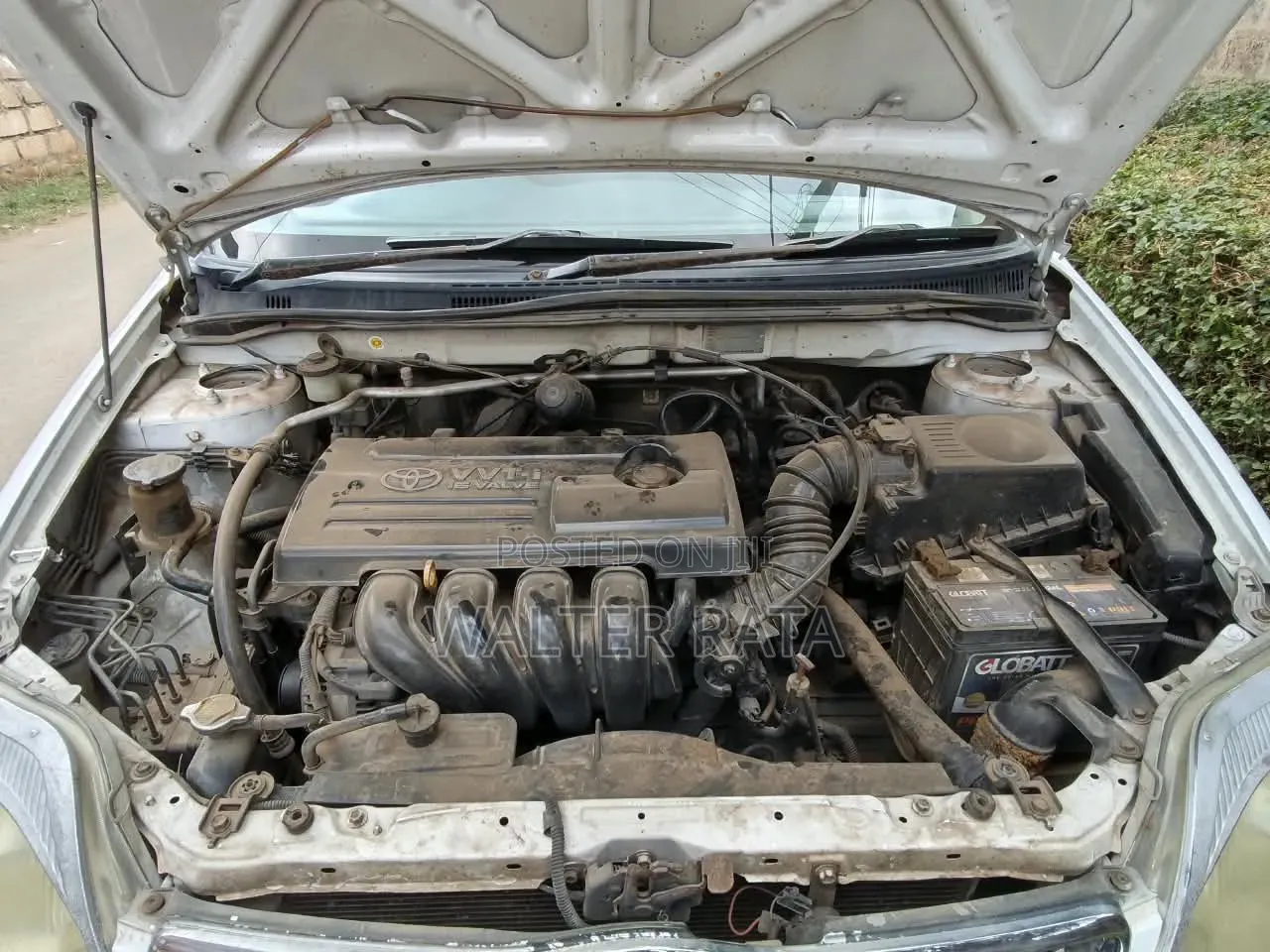 Toyota Corolla 2004 White