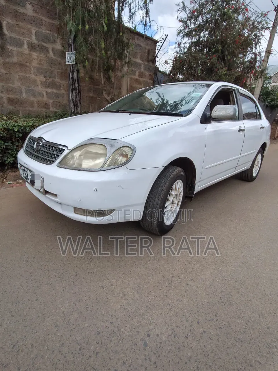 Toyota Corolla 2004 White