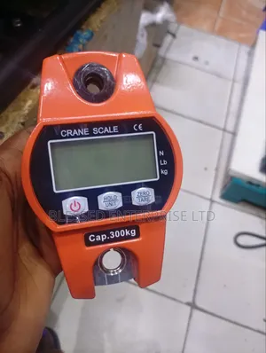 Large and Easy to Read Digital Display 300kg Crane Scale