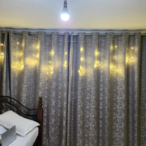 Star-Shaped LED Curtain String Light 1*3M