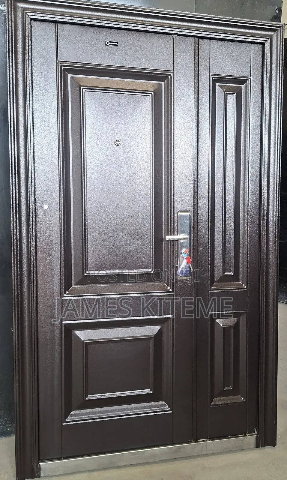 Project Entrance Security Steel Doors