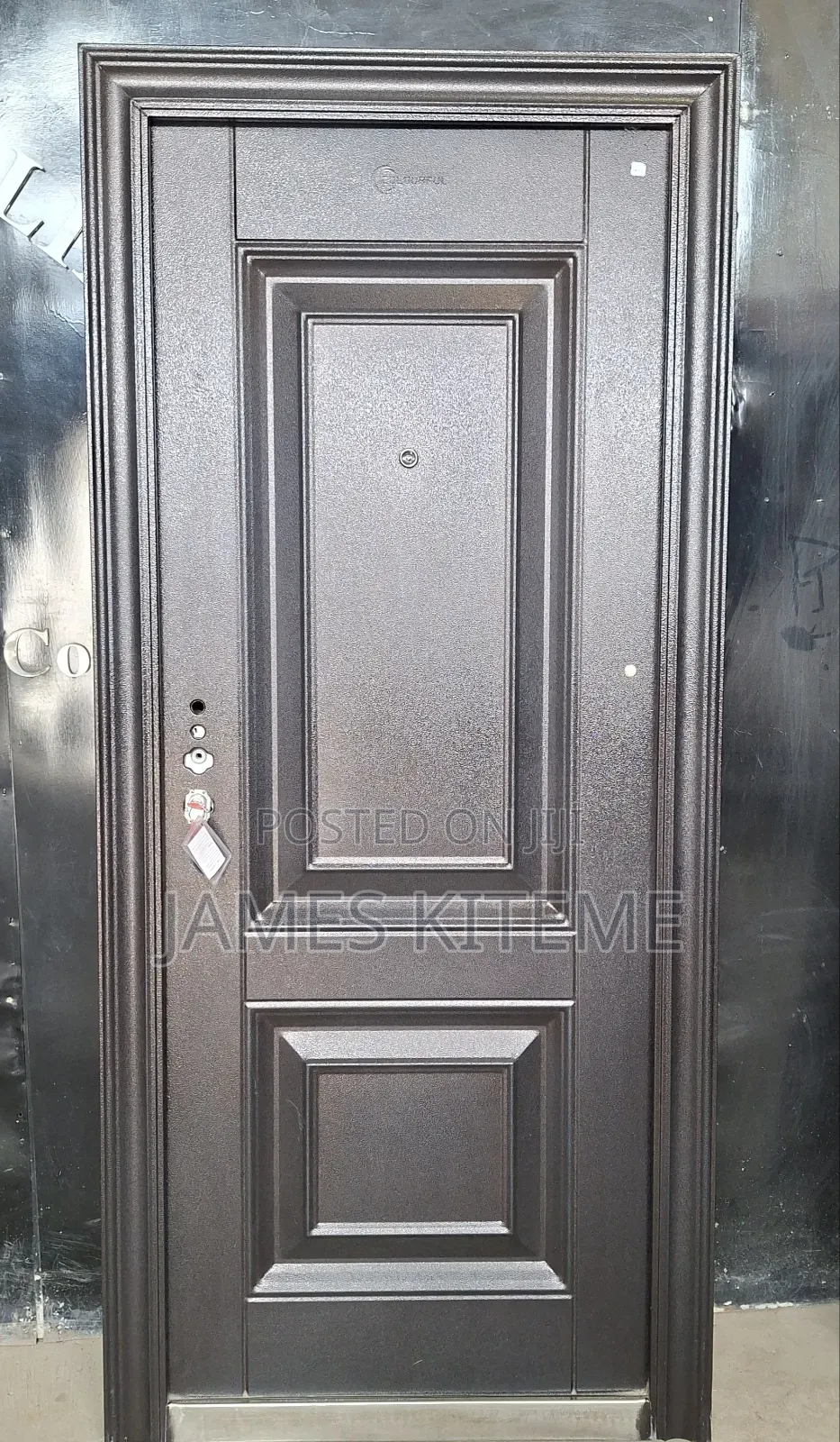 Project Entrance Security Steel Doors