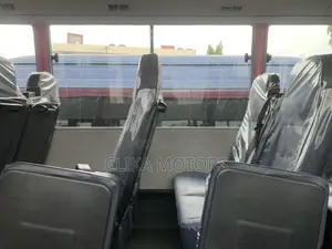Mitsubishi Fuso Rosa 2020 Pink