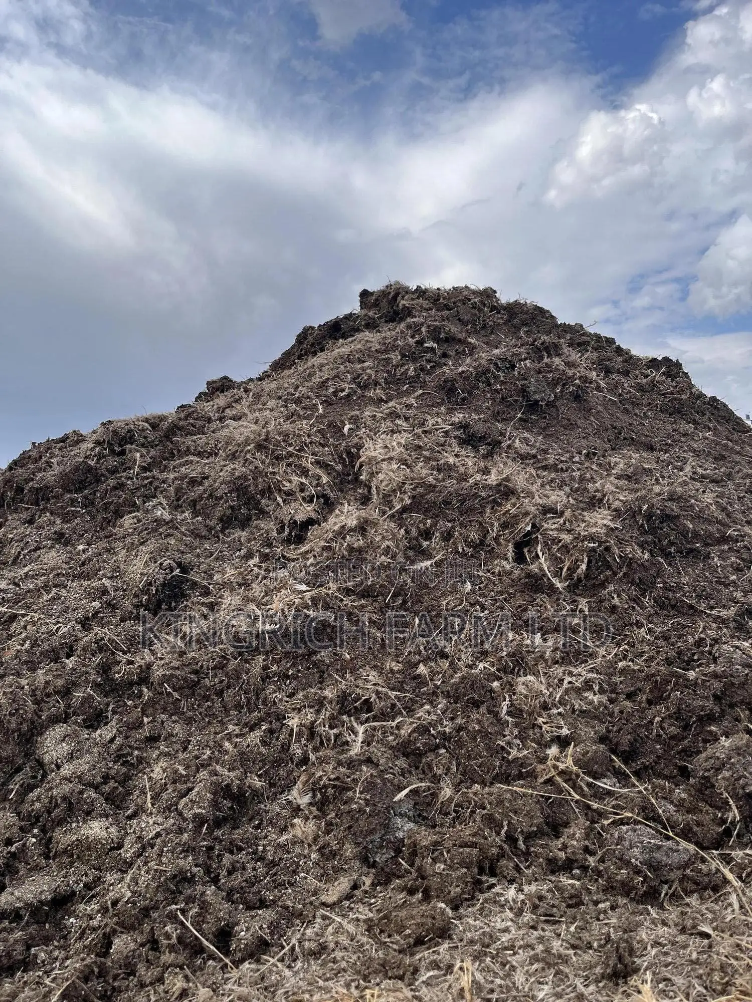 Well-Dried Pure Chicken Manure Per Ton
