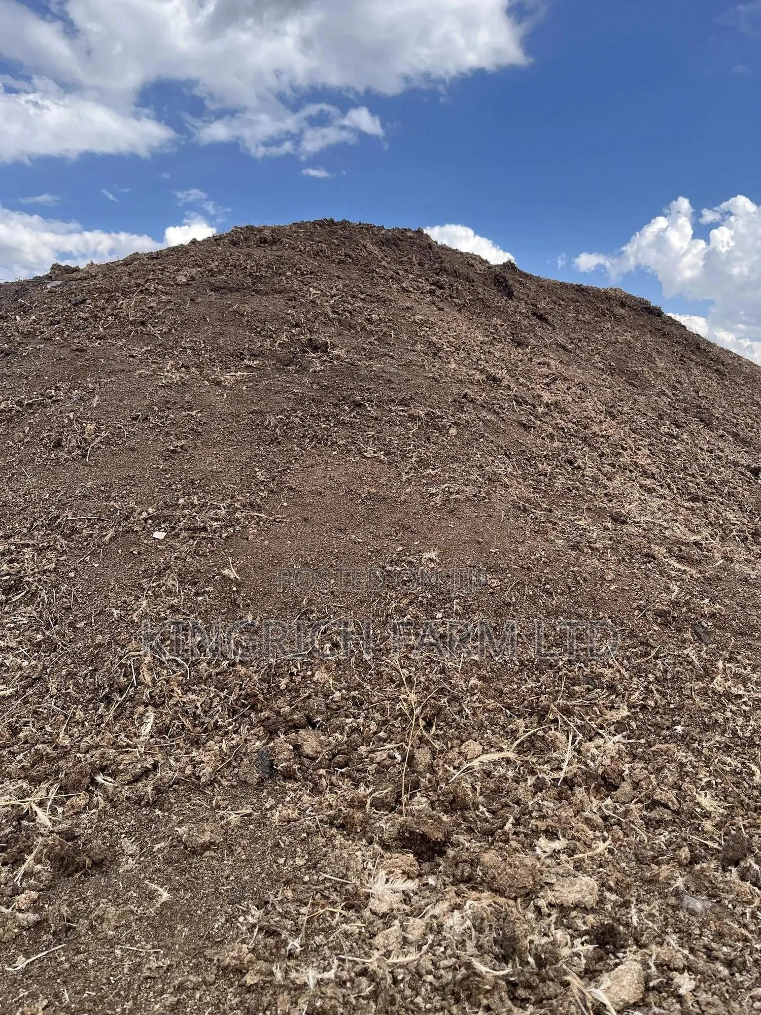 Well-Dried Pure Chicken Manure Per Ton
