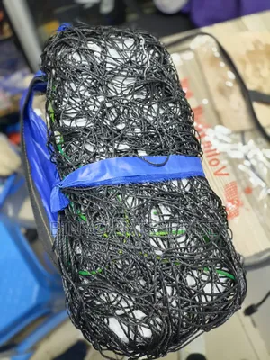 Volleyball Net