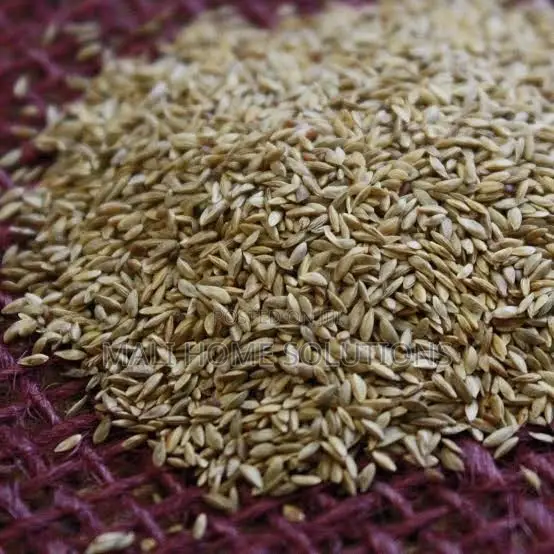 Bermuda Grass Seeds