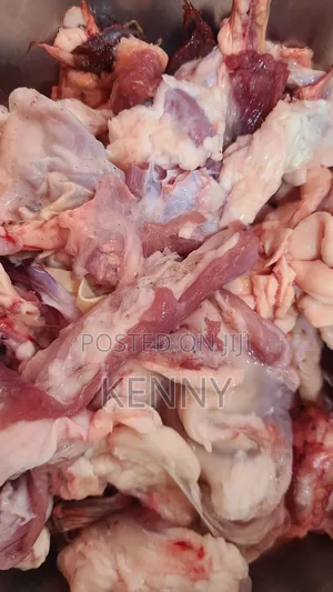 Dog Food Offcuts
