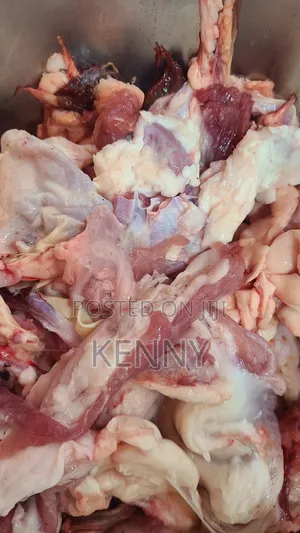 Dog Food Offcuts