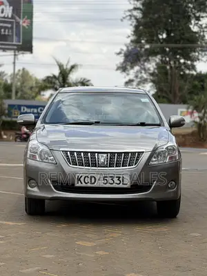 Toyota Premio 2009 Gray