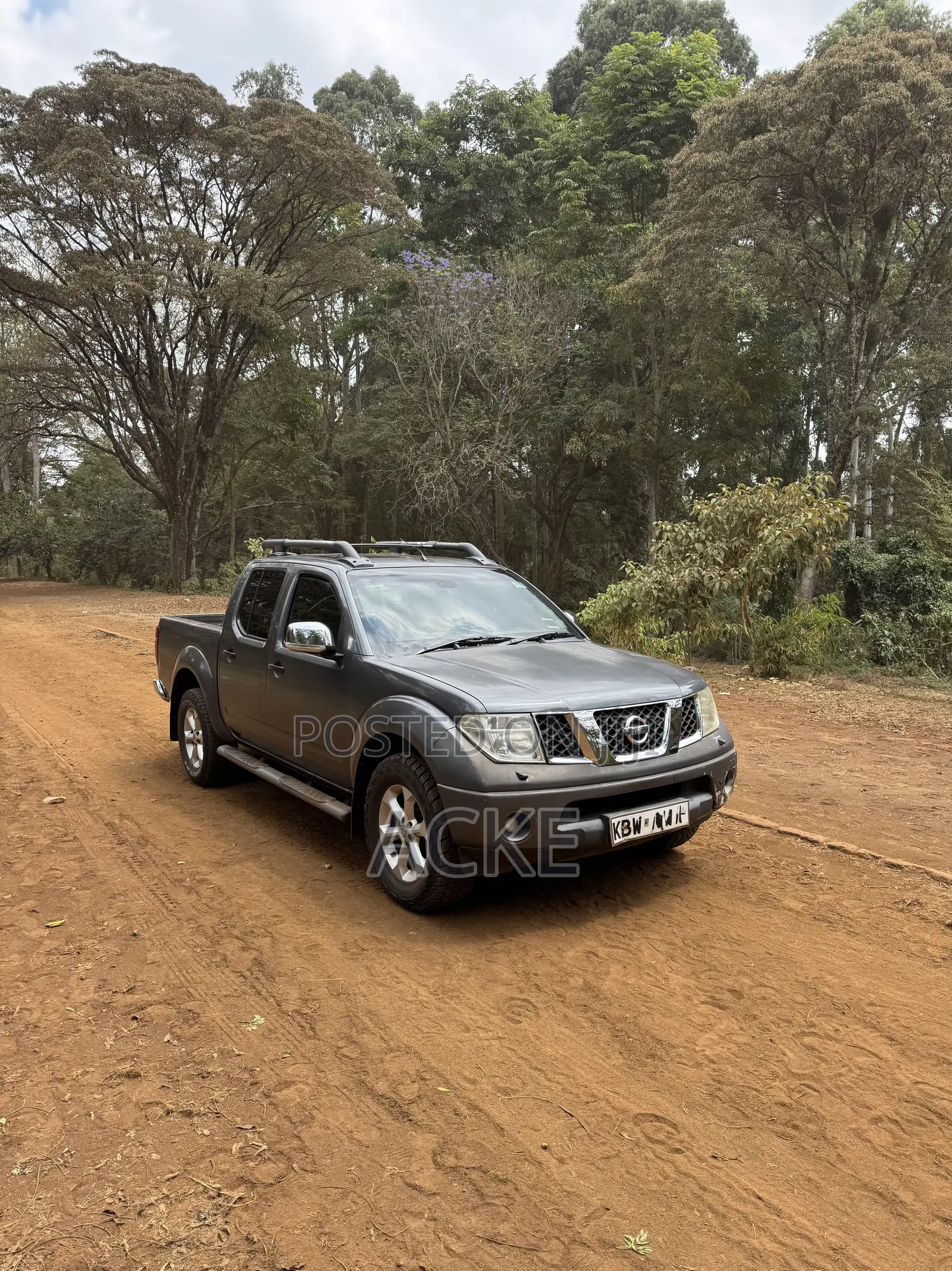 Nissan Navara 2007 Gray