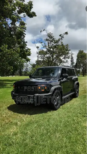 New Car 2025 Black