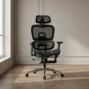 Executive Ergonomic Seat | Orthopedic Modern Black Chairs