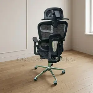 Executive Ergonomic Seat | Orthopedic Modern Black Chairs