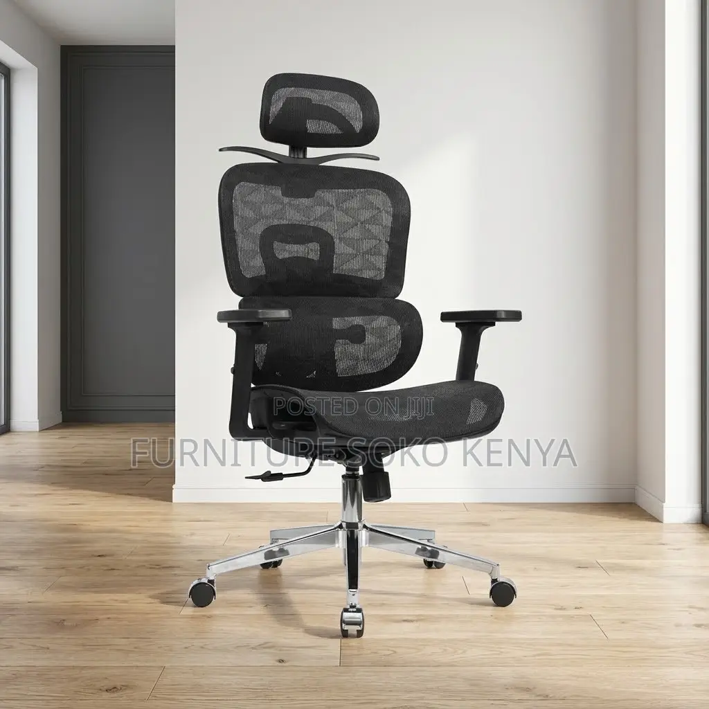 Executive Ergonomic Seat | Orthopedic Modern Black Chairs