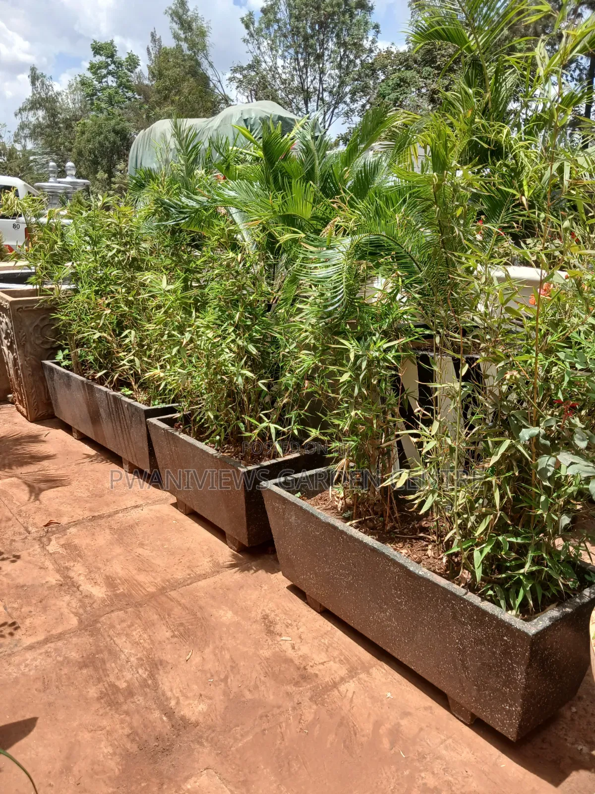 Concrete Trough Planters at Wholesale