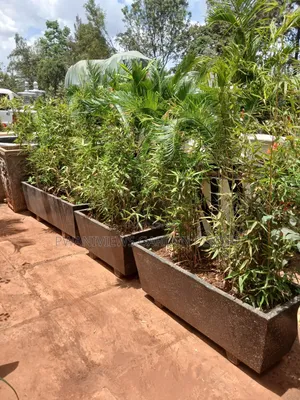 Concrete Trough Planters at Wholesale